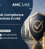 AML compliance services
