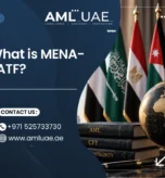 What is MENAFATF?