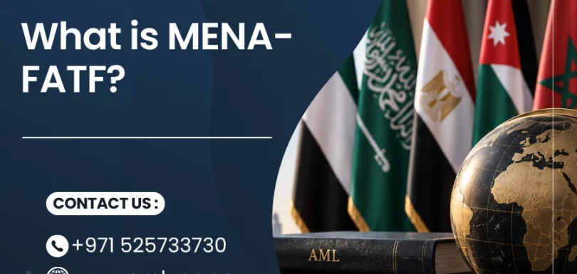 What is MENAFATF?